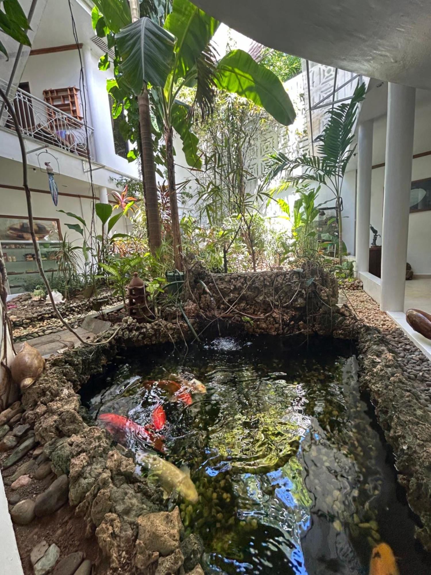Argonauta Boracay Apartment Suites And Villas Боракай Экстерьер фото